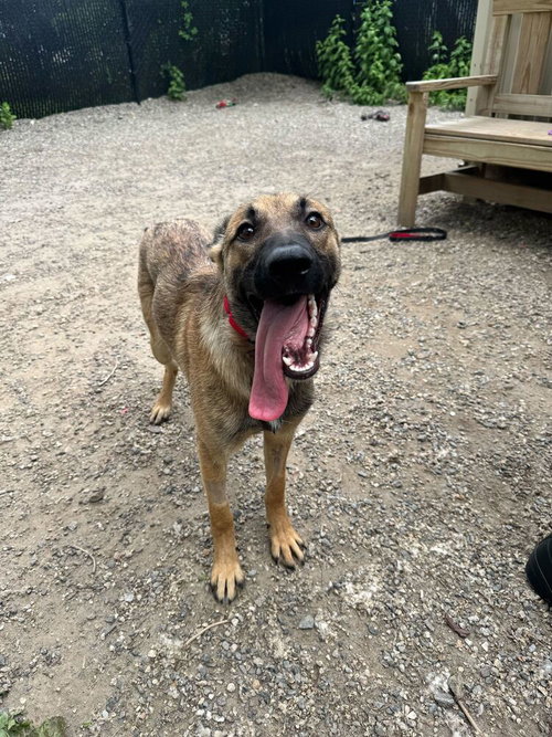 Jackie - Available 6/4