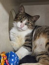 Thor - Photo 3