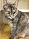 Lila - Photo 2