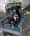 Alvin - Photo 1