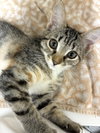 Mabel - Photo 3