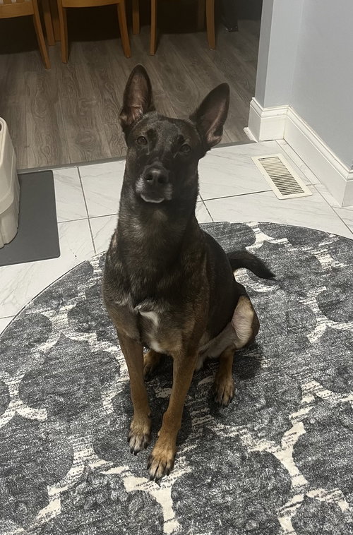 Jett **Courtesy Post**