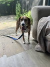 Sally - Photo 2