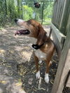 Sally - Photo 3