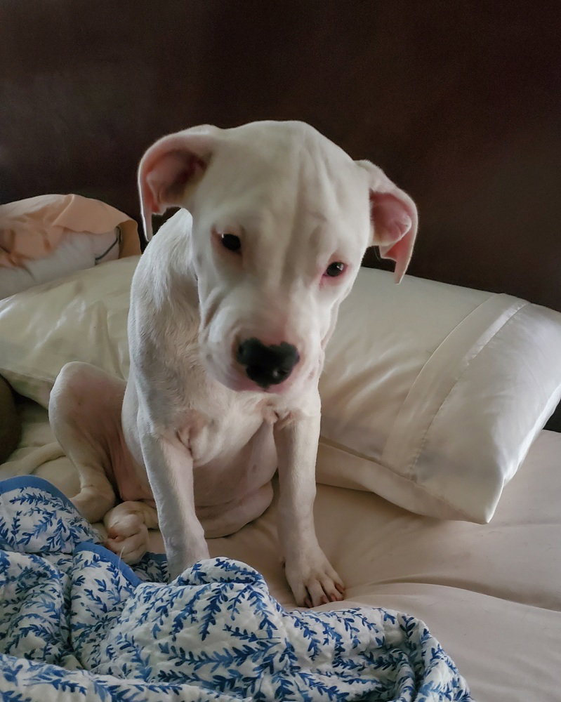 Daisy Mae