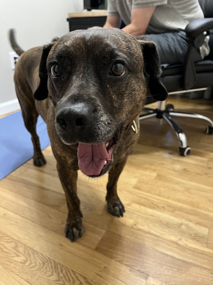 Auggie **a courtesy post**