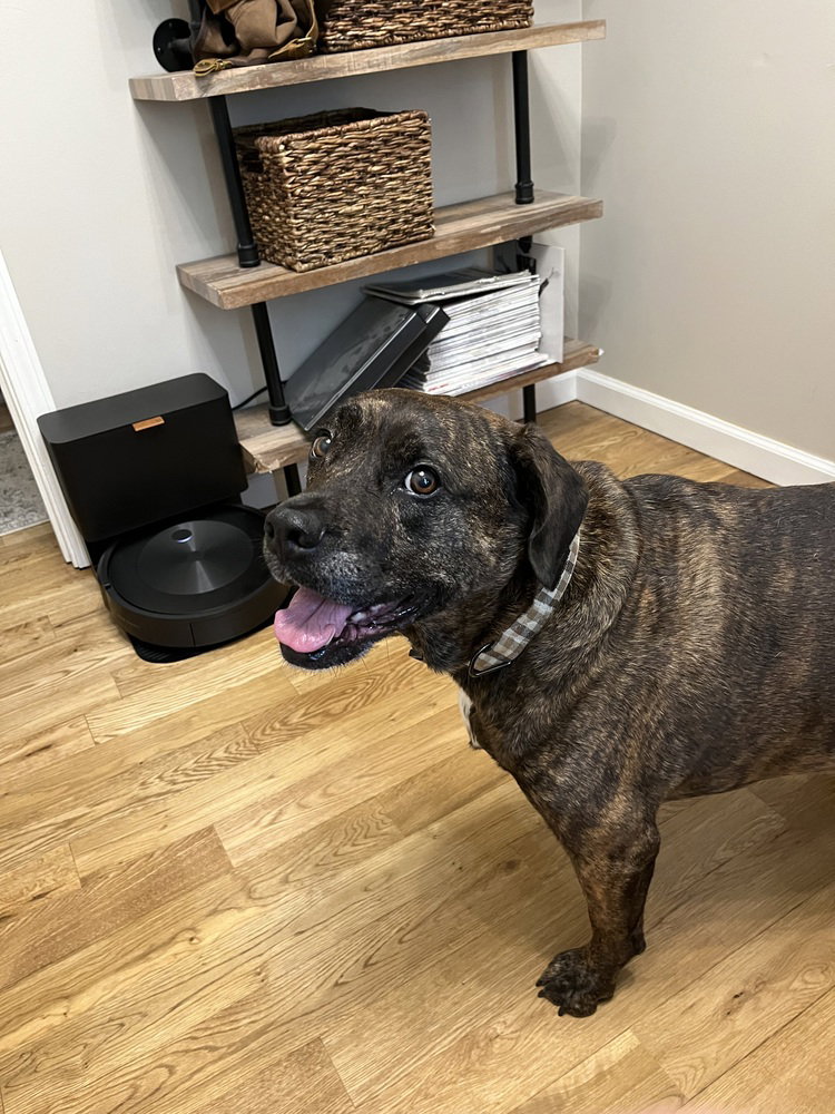 Auggie **a courtesy post**, photo 4