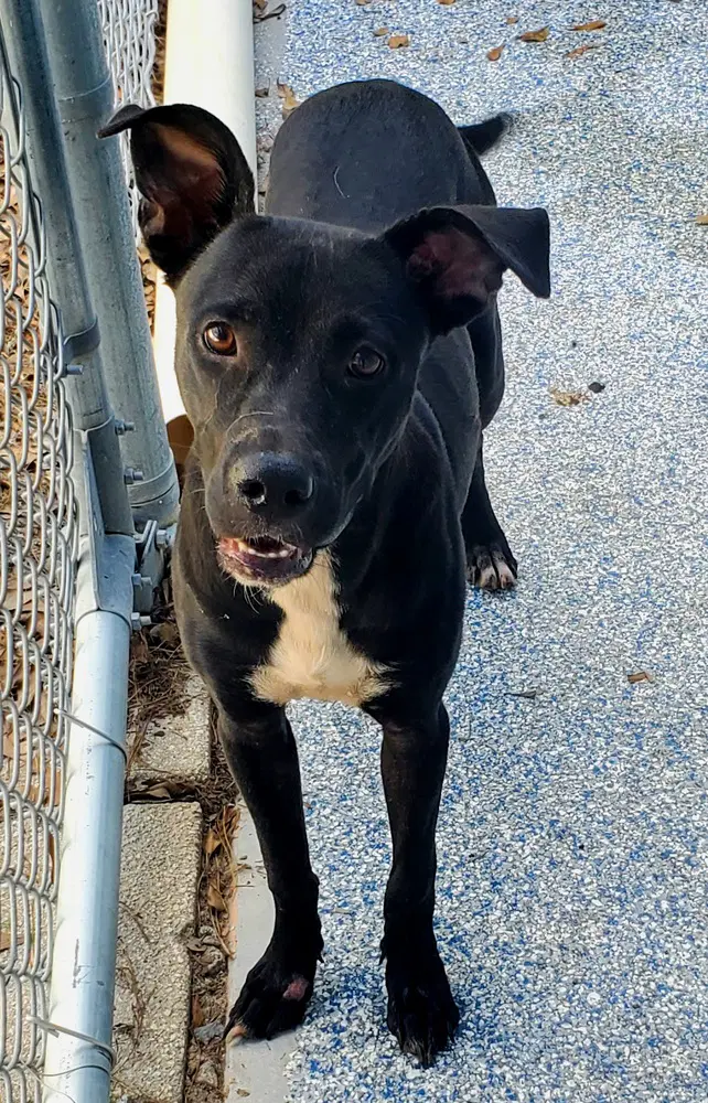 Sally Available - Unknown