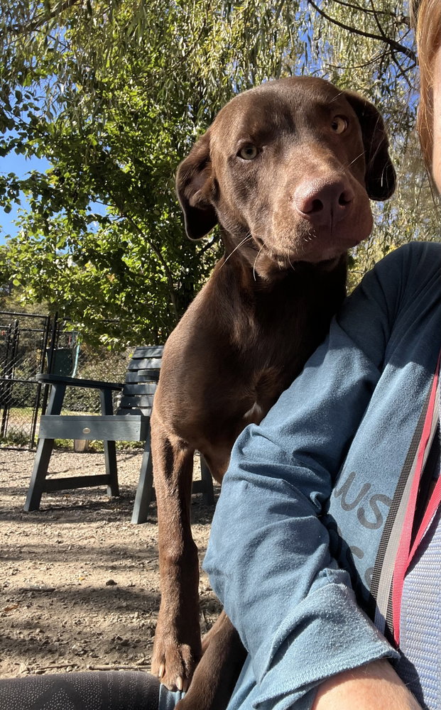 Sawyer available 10/30/26