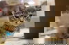 Eve