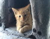 Charlie