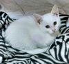 Casper