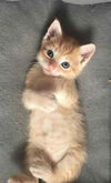 Jerry