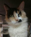 Lorna