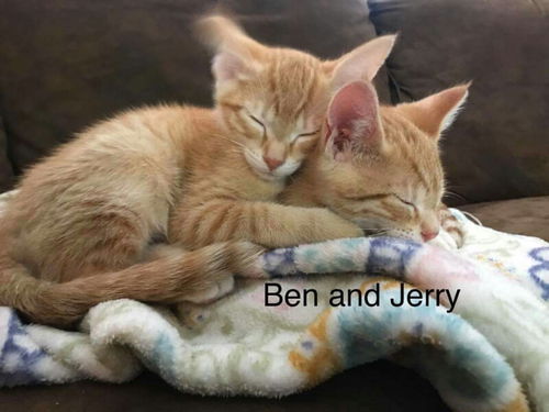 Ben