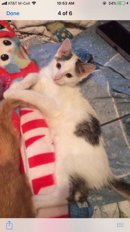 Tom
