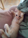 Charley