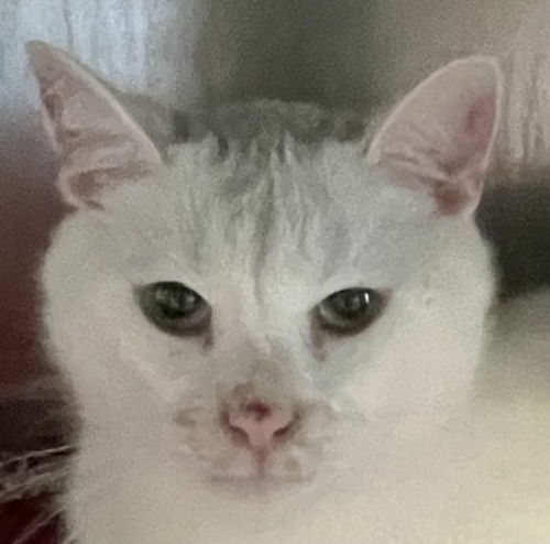 Smudge