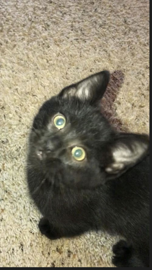 Jet