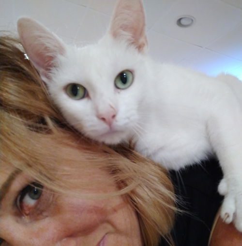 Tinkerbell