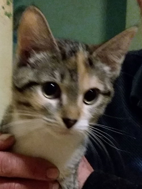 Tina