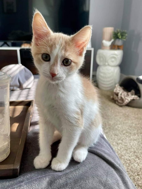 Charlie
