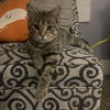 Thomas