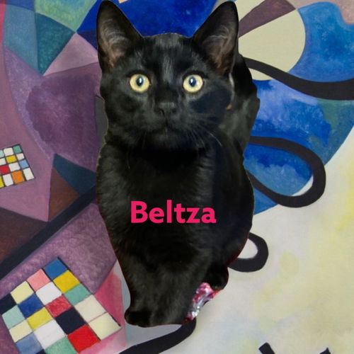 Beltza
