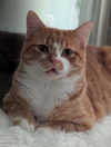 Clyde