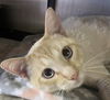 Romeo
