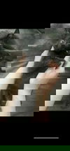 Bartholomew