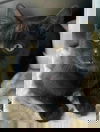 Flicker
