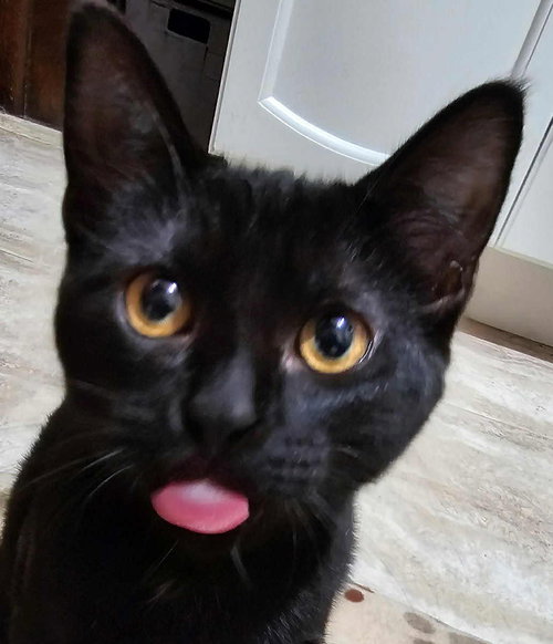 Vader