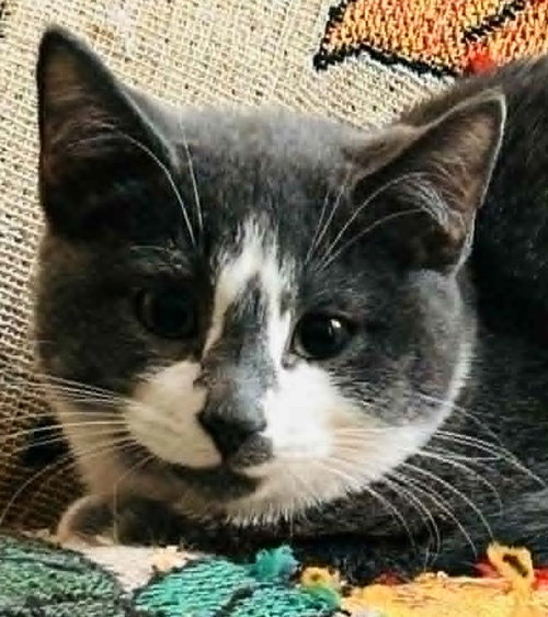 Timothy