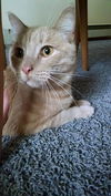 Lenny