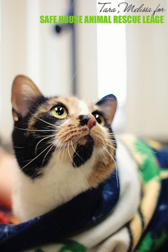 Coco
