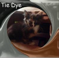 Tie Dye