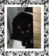 Ricky