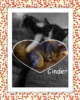 Cinder