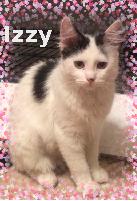 Izzy