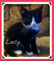 Lucy