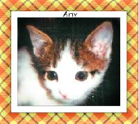 Amy
