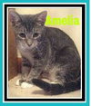 Amelia