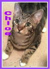Chloe