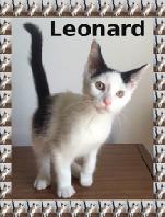 Leonard