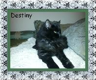 Destiny