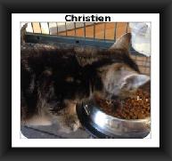 Christien