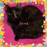 June