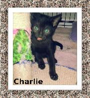 Charlie