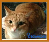 Bianca
